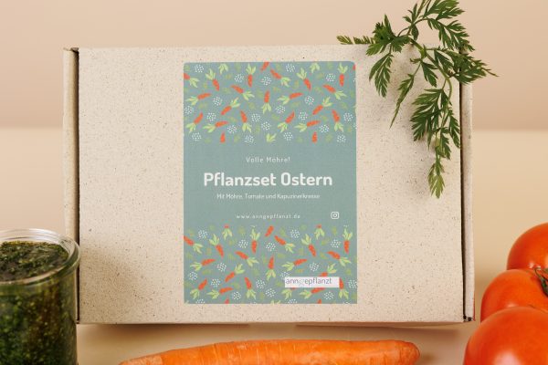 Pflanzset Ostern – Bild 2